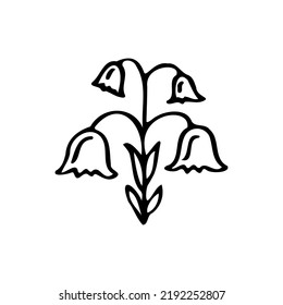 Vector isolated single lily valley branch colorless black and white contour line drawing