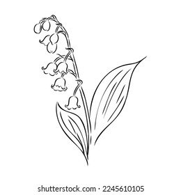 Dibujo de la línea de contorno incoloro en blanco y negro de vectores aislados de valles de lirio único