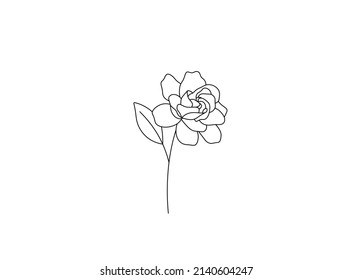 Vector isolated single pretty gardenia flower blossom colorless black and white contour line drawing