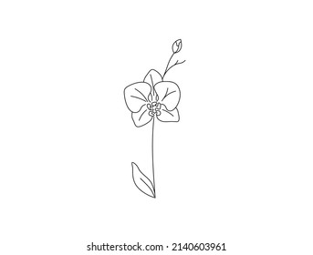 Vector isolated single pretty orchid twig flower blossom colorless black and white contour line drawing