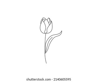 Vector isolated single pretty tulip flower blossom colorless black and white contour line drawing