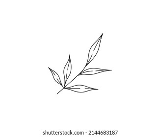 Vector isolated single twig branch with five leaves colorless black and white contour line drawing