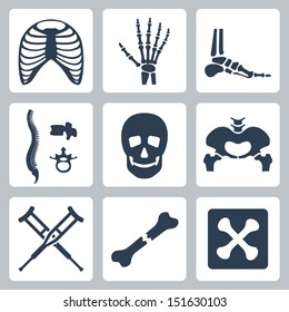 Vector isolated skeleton icons set