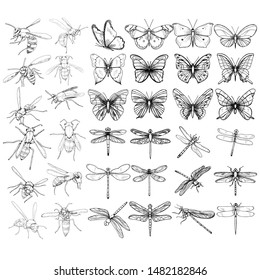 vector, isolated, sketch of a bee, butterfly and dragonfly, set
