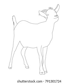 vector, isolated sketch of a goat is standing, on a white background