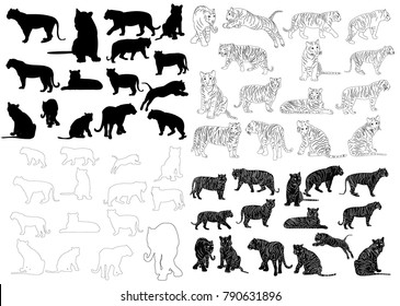 vector, isolated sketch of a tiger, silhouette of a tiger, collection