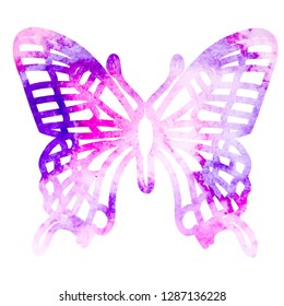 vector, isolated, sketch watercolor butterfly