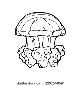 Vector Isolated Sketched Jellyfish. Outline Artwork.