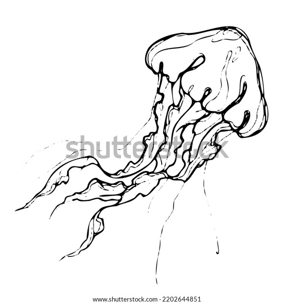 Vector Isolated Sketched Jellyfish Outline Artwork Stock Vector