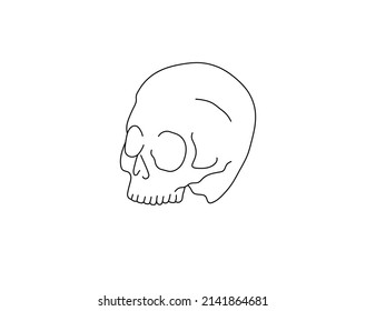 Vector isolated skull without lower jaw colorless black   white contour line simple doodle drawing