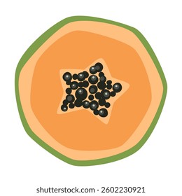 Vector isolated slice of papaya