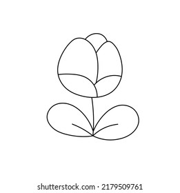 Vector isolated small cute one tulip flower colorless black and white contour line drawing