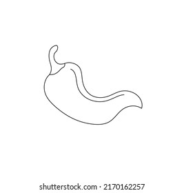 Vector isolated small simple chili pepper drawing. Colorless minimal tiny jalapeno pepper outline doodle sketch