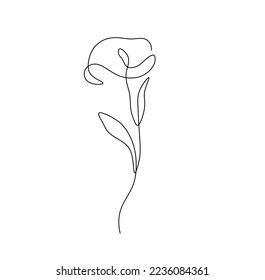 Vector isolated small simple minimal one single line calla flower colorless black and white contour line easy drawing
