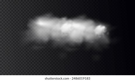 Vektorgrafik isoliert Rauch PNG. Weiße Rauchstruktur auf einem transparenten schwarzen Hintergrund. Spezialeffekt von Dampf, Rauch, Nebel, Wolken. Transparenter Hintergrund. Weiße Trübung, Nebel, Smog, Staub, Dampf.