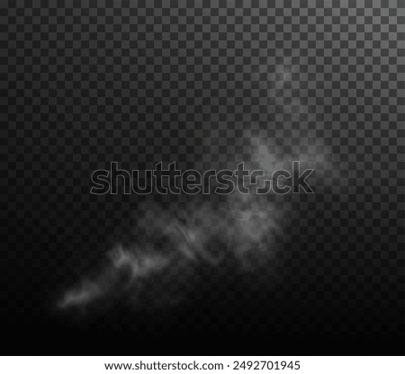 Vector isolated smoke PNG. White smoke texture on a transparent black background. Special effect of steam, smoke, fog.