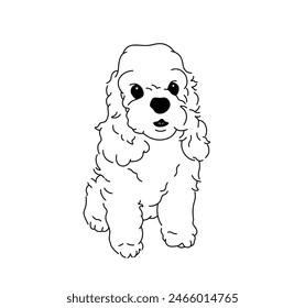 Vector isolated spaniel dog tattoo colorless black and white contour line easy drawing
