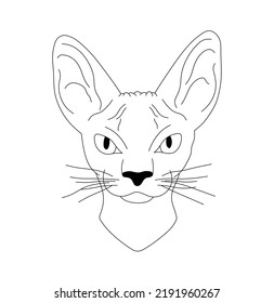 Vector Isolated Sphinx Cat Head With Big Ears Portrait Colorless Black And White Contour Line Easy Drawing