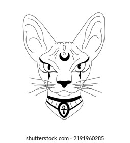 Vector Isolated Sphinx Cat Head With Big Ears Egyptian Style Portrait Colorless Black And White Contour Line Easy Drawing