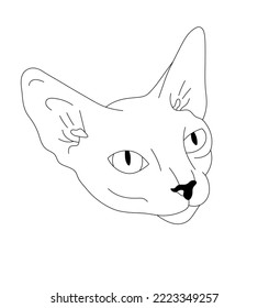 Vector isolated sphinx cat head portrait muzzle colorless black and white contour line easy drawing