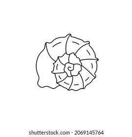 Vector isolated spiral round sea shell line drawing. Sea shell minimalism graphic icon logotype symbol