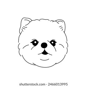  Vector isolated spitz dog head portrait tattoo colorless black and white contour line easy drawing