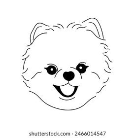 Vector isolated spitz dog head portrait tattoo colorless black and white contour line easy drawing