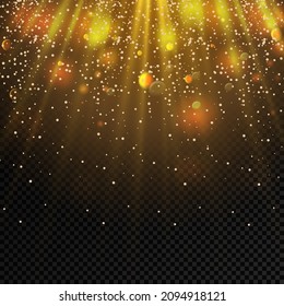 Vector isolated spotlight. Light effect. Transparent sunlight. 