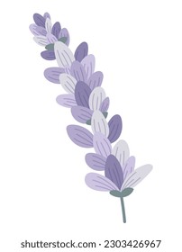 Vector aislado de espiral de lavanda o de lilo con pétalos de estilo plano.