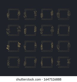 El vector aislado de oro de resorte florecen marcos cuadrados. Bordes dorados de hierbas florales. Coronas rusticas para la tarjeta de boda. 