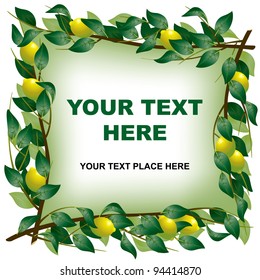 Vector isolated square frame with four lemon branch
