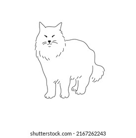 Vector isolated standing maine coon cat colorless black and white contour line drawing