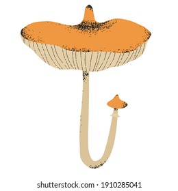vector isolated sticker - yellow mushroom. Pick up mushrooms in forest. Fungus harvest. Hand drawn style.