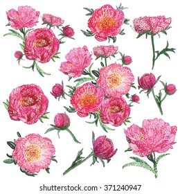 Vector isolated stylized embroidery flowers decorations set. Vintage stitching embroidery rose peony flowers pink peonies on white background. Beautiful embroidery floral isolated decorative elements