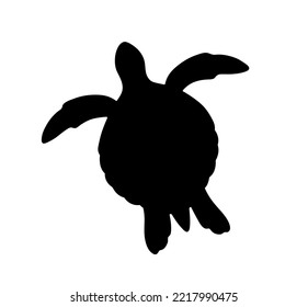 Vector Isolated Swimming Floating Sea Turtle Top View Stencil Colorless Black And White Outline Silhouette Shadow Shape 