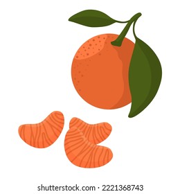 Vector isolated tangerine with leaves and few wedges. Flat graphics.