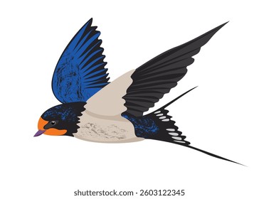 Vector isolated texture vector drawing of spring swallow flying in the air. Bird with blue feathers looking for food. Beautiful color pattern in trendy style. Orange, blue, beige, gray, black color