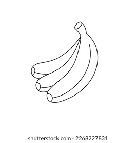 Vector isolated three bananas bunch colorless black and white contour line easy drawing