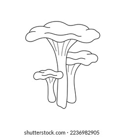 Vector isolated three chanterelle mashrooms of different sizes big and small colorless black and white contour line easy drawing