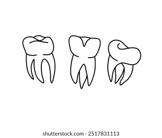 Vetor isolado três dentes humanos com raízes molar incolor preto e branco linha de contorno fácil desenho