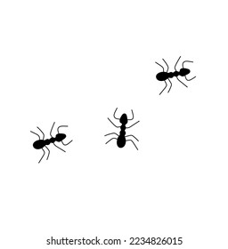 Vector isolated three simple mininmal little black ants top view colorless black and white contour line easy drawing