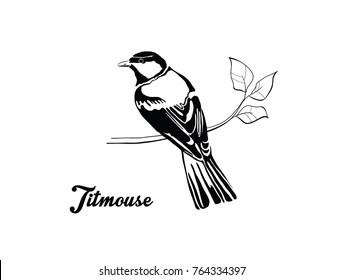 Vector isolated titmouse graphic for wall sticker.