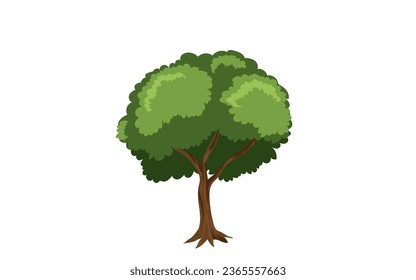 vector isolated tree on white background