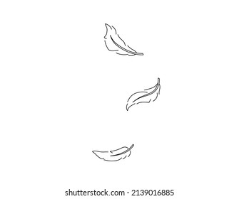 Vector isolated tree simple line drawn feathers set