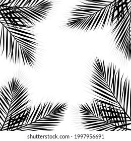 Vector isolated tropical seamless pattern with black palm leaves on a white background.