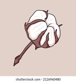 Vector isolated twig with cotton ball or bud.