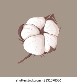 Vector isolated twig with soft cotton ball or bud.