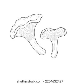 Vector isolated two chanterelle mushrooms big and small little colorless black and white contour line easy drawing