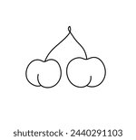Vector isolated two cherry berries ass buttocks butt breech colorless black and white contour line easy drawing
