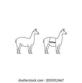 Vector isolated two cute cartoon drawn alpacas contour line drawing. Alpaca with and without saddle side view